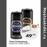 Пятёрочка Акции - Пиво Kaltenberg