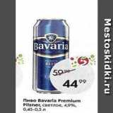 Пятёрочка Акции - Пиво Bavaria Premium Pilsner