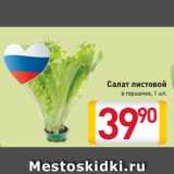 Магазин:Билла,Скидка:Салат листовой
в горшочке, 1 шт.