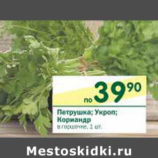 Акция - Петрушка; Укроп; Кориандр