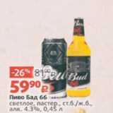 Виктория Акции - Пиво Бад 66 4,3%