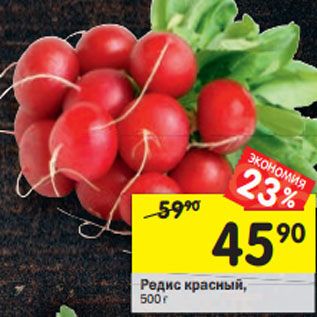 Акция - Редис красный