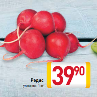 Акция - Редис упаковка
