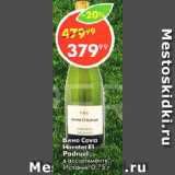Пятёрочка Акции - Вино Cava Heretаt EI Padruell