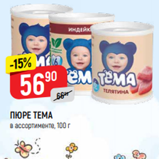 Акция - ПЮРЕ ТЕМА в ассортименте, 100 г