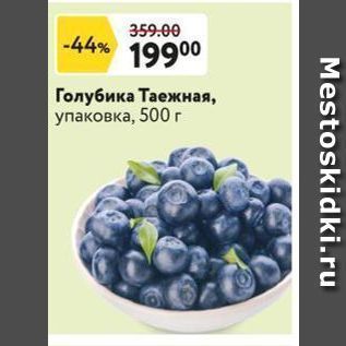 Акция - Голубика Таежная, упаковка, 500 г