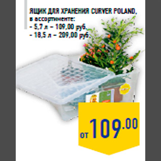 Акция - Ящик для хранения CURVER POLAND, в ассортименте: - 5,7 л – 109,00 руб. - 18,5 л – 209,00 руб