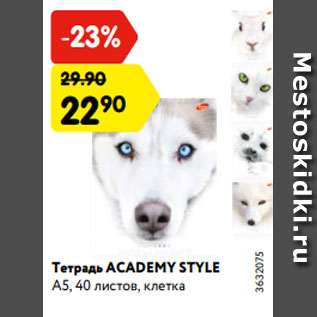 Акция - Тетрадь ACADEMY STYLE А5, 40 листов, клетка