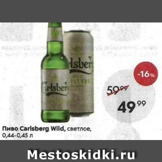 Акция - Пиво Carlsberg Wild