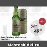 Пятёрочка Акции - Пиво Carlsberg Wild
