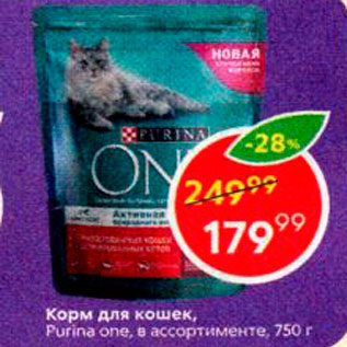 Акция - Корм для кошек Purina one