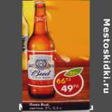 Магазин:Пятёрочка,Скидка:Пиво Bud, светлое 5%