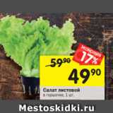Магазин:Перекрёсток,Скидка:Салат листовой
в горшочке, 1 шт.