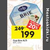 Магазин:Перекрёсток,Скидка:Сыр Brie ALTI
60%, 125 г