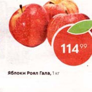 Акция - Яблоки Роял Гала, 1 Kr