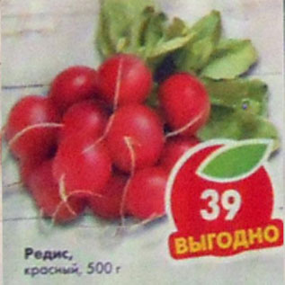 Акция - Редис красный