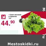 Магазин:Оливье,Скидка:Салат листовой в горшочке 