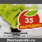 Магазин:Пятёрочка,Скидка:Салат листовой 