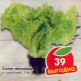 Магазин:Пятёрочка,Скидка:Салат листовой 