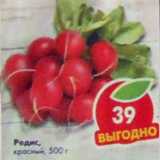 Магазин:Пятёрочка,Скидка:Редис красный 