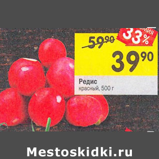Акция - редис красный