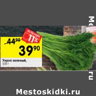 Акция - укроп зеленый