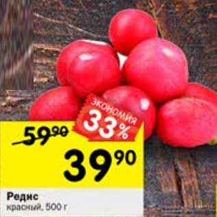 Акция - редис красный