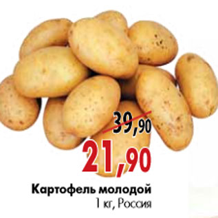 Акция - Картофель молодой 1 кг, Россия
