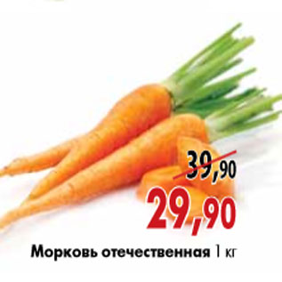 Акция - Морковь отечественная 1 кг