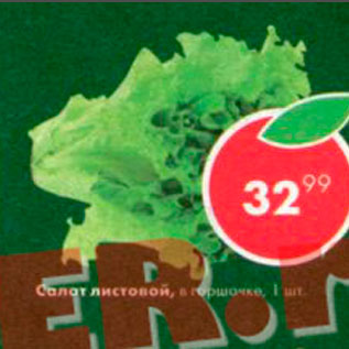 Акция - Салат листовой