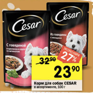 Акция - Корм для собак Cesar