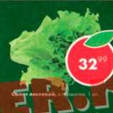 Магазин:Пятёрочка,Скидка:Салат листовой