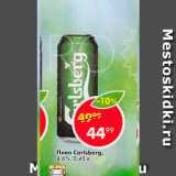Пятёрочка Акции - Пиво Carlsberg