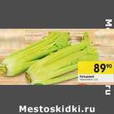 Сельдерей 