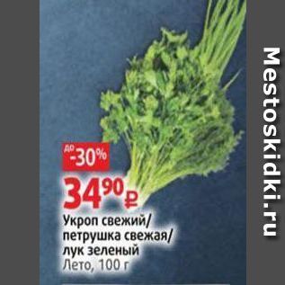 Акция - Укроп свежий петрушка свежая лук зеленый Лето,