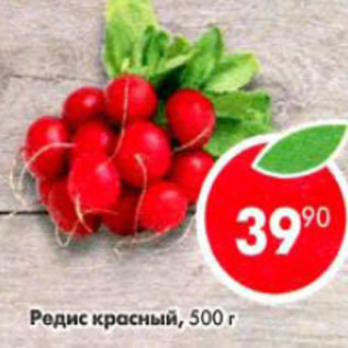 Акция - Редис красный