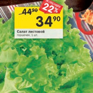 Акция - Салат листовой горошек