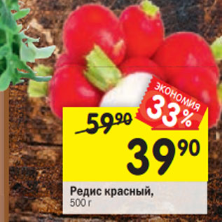 Акция - Редис красный,500г