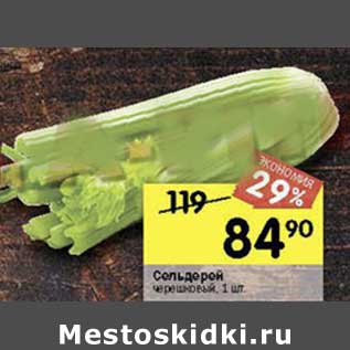 Акция - Сельдерей черешковый