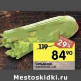 Сельдерей черешковый