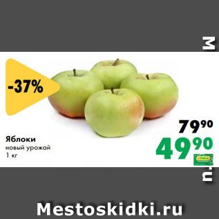 Акция - Яблоки новый урожай 1 кг