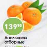 Авоська Акции - Апельсины отборные