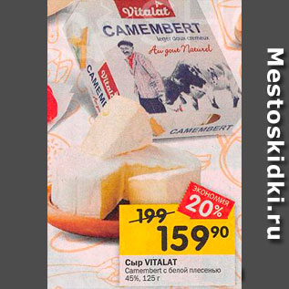 Акция - Сыр Camembert