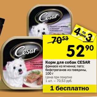 Акция - Корм для собак CESAR в ассортименте