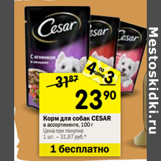 Акция - Корм для собак CESAR