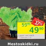 Магазин:Перекрёсток,Скидка:Салат листовой
в горшочке