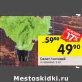 Магазин:Перекрёсток,Скидка:Салат листовой
в горшочке, 1 шт.