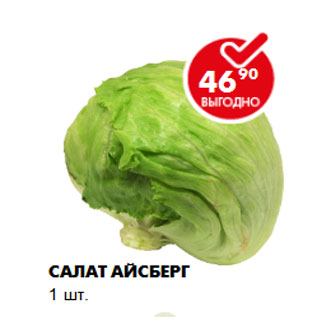 Акция - Салат Айсберг