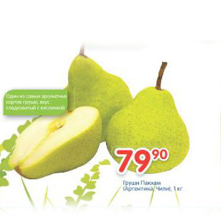 Акция - Груши Пасхам Аргентина, Чили