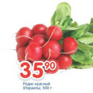 Акция - Редис красный